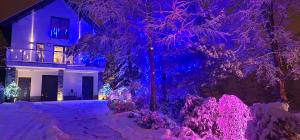 Apartament u Joli v zime