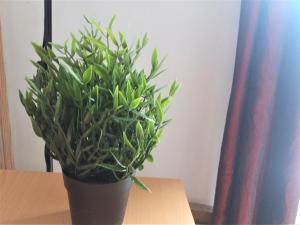 Fotografia z galérie ubytovania APPARTEMENT ENTIER AVEC BALCON A PARIS PLEIN SUD. v Paríži