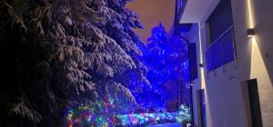 Fotografia z galérie ubytovania Apartament u Joli v destinácii Piwniczna