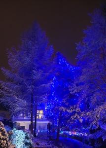 Fotografia z galérie ubytovania Apartament u Joli v destinácii Piwniczna