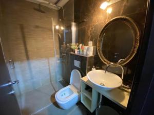 La salle de bains est pourvue d'un lavabo, de toilettes et d'un miroir. dans l'établissement Skenderija-Cityscape apartments, à Sarajevo