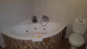a bathroom with a bath tub and a toilet at CASAS CUEVAS ELVIRA in Hinojares