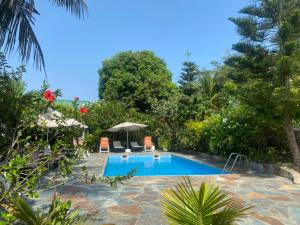 a swimming pool in the middle of a garden at Casablanca Guest Inn in Sekondi-Takoradi