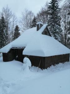 una casa cubierta de nieve con árboles en el fondo en Koča Pastirica - Velika planina, en Stahovica