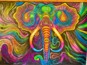 a painting of an elephant with colorful paint at The Kingslayer Resort in Negombo