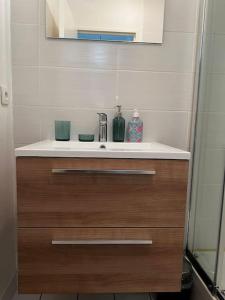 een badkamerbar met een wastafel en een spiegel bij Appart calme avec jardin et parking. 15mn de Paris in Le Bourget
