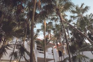 a building with palm trees in front of it at Villa Destiny Tulum beach front luxury villa in Tulum