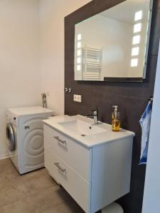 a bathroom with a sink and a washing machine at Auf der Reuth in Selb