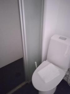 La salle de bains est pourvue de toilettes blanches. dans l'établissement Ellivuori, Ellin Pooli 5, à Sastamala