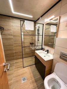 a bathroom with a shower and a toilet and a sink at Diamond Kopaonik Centar 2 in Kopaonik