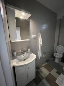 a bathroom with a sink and a toilet at Apartman Antonovic in Valjevo