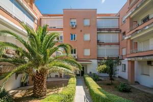 palma przed budynkiem w obiekcie Acogedor estudio en Arturo Soria MD-Anderson E2 w Madrycie
