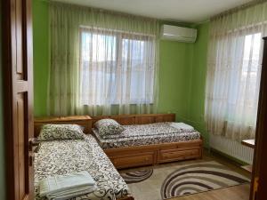 2 Betten in einem Zimmer mit grünen Wänden und Fenstern in der Unterkunft ВИЛА НАНО 