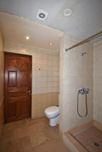 a bathroom with a toilet and a shower and a door at Abovyan Street 16, Apartment No 24 in Yerevan
