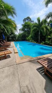 Bazén v ubytování PawPaw Resort nebo v jeho okolí