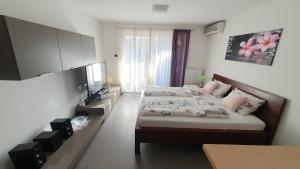 um quarto com uma cama e uma televisão em Cypress Garden em Portorož