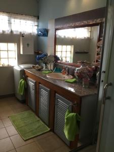 a bathroom with a sink and a mirror at Aurelia Lodge - Apartment with Terrace in Souillac