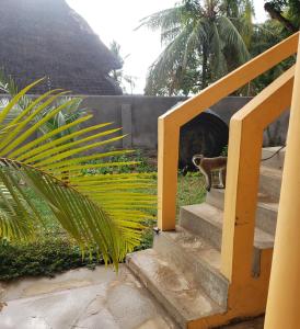 Fotografie z fotogalerie ubytování Bella Breeze1 - Diani Beach, Kenya v destinaci Diani Beach