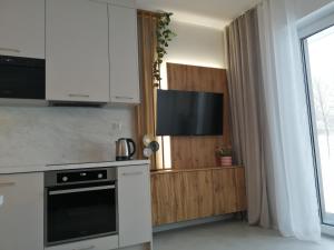 Kuchyňa alebo kuchynka v ubytovaní Apartament Zielone Wzgórze 2