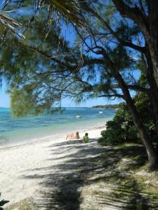 a group of people sitting on a beach near the water at Modern Villa with service. Exceptional beach, private swimming pool in Roches Noires