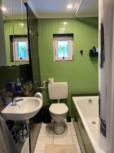 a green bathroom with a toilet and a sink at Ferienwohnung mit Talblick für Monteure in Heppenheim an der Bergstrasse