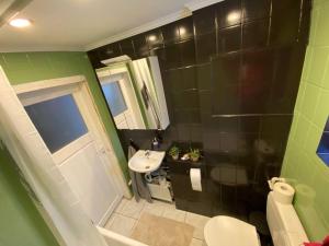 a green bathroom with a sink and a toilet at Ferienwohnung mit Talblick für Monteure in Heppenheim an der Bergstrasse +14 photos
