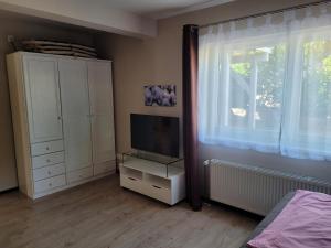 - une chambre avec une télévision, une armoire et une fenêtre dans l'établissement Ferienwohnung Loreley, à Weisel