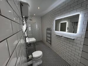 a white bathroom with a toilet and a mirror at Lower Winsford Apartments & Rooms in Bideford