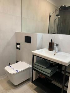 a bathroom with a white sink and a toilet at Urban Apartment Deluxe Kamienica Nova 3 in Szczecin