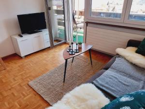 TV a/nebo společenská místnost v ubytování Le Cleuson - centré avec vue