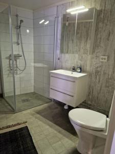 une salle de bain avec toilettes, lavabo et douche dans l'établissement Stilren suite med egen inngang og kokemuligheter., à Tromsø