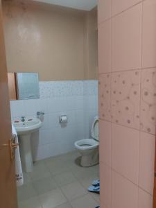 Roza Guest House في نيفاشا: حمام مع مرحاض ومغسلة