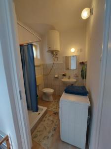 uma pequena casa de banho com WC e chuveiro em Sövényes Szálláshely em Barcs