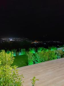 Chalkida Hilltop Apartments في خالكيذا: اطلالة على مدينة في الليل مع اضواء خضراء