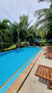 Bazén v ubytování PawPaw Resort nebo v jeho okolí