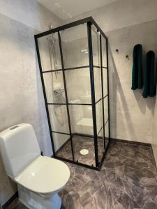 a bathroom with a toilet and a glass shower at Timmerstuga i Centrala Oviken in Oviken
