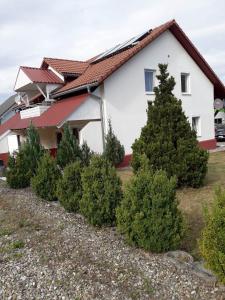 une maison avec des arbres devant elle dans l'établissement Ferienwohnung Lottstetten, à Lottstetten