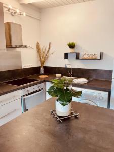 Dapur atau dapur kecil di Orient bay Ti COCON au calme
