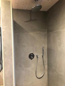 a shower with a shower head in a bathroom at LindegaardApartment - woods and sea in Hejls