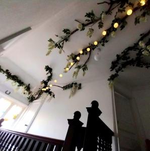 a room with a bunch of lights on the ceiling at JESMOND House B&B room 4 in Hull