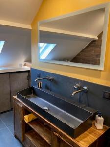 a bathroom with a sink and a mirror at chez nanou&bibou in Auvers-sur-Oise