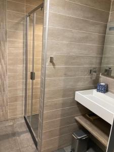 a bathroom with a shower and a sink at chez nanou&bibou in Auvers-sur-Oise