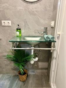 łazienka z zieloną umywalką i rośliną w obiekcie El patio de Lindo w Kordobie