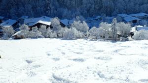 un campo ricoperto di neve con alberi e case di Zirbenchalet Obergruben a Brixlegg