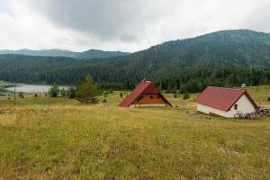 a barn with a red roof in a field at Spectacular LakeView House in Žabljak