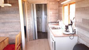 a small kitchen with a sink and a shower at Stundarfriður cottages in Stykkishólmur