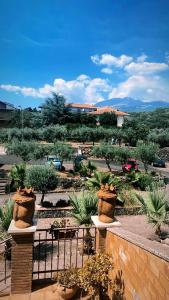 Blick auf einen Garten mit Topfpflanzen in der Unterkunft Villa Casina dell'Etna in Ragalna