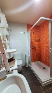 a bathroom with a shower and a toilet at Casa Do Ghabino in Santa Comba