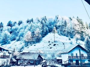 Afbeelding uit fotogalerij van Pensiunea Julian House in Moieciu de Jos