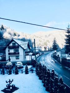 Afbeelding uit fotogalerij van Pensiunea Julian House in Moieciu de Jos